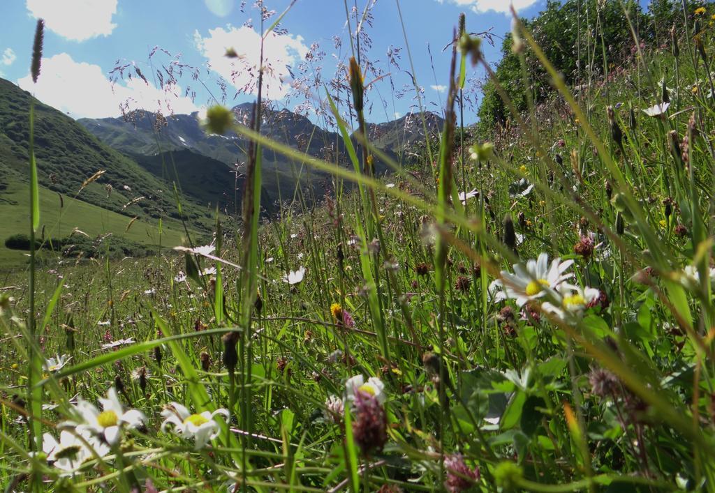 Apartmenthaus Joerg Serfaus Dış mekan fotoğraf
